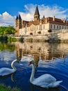 Two swans in front of the basilica of Paray le monial.