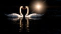 Two swans kissing Royalty Free Stock Photo