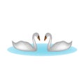 Two swans on the lake. Vector illustration isolated background Royalty Free Stock Photo