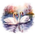 Two swans in a lake with the words swans on the water illustration painting