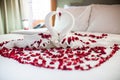 Two swans made from towels are kissing on honeymoon white bed.