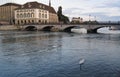 Two swans swimming Royalty Free Stock Photo