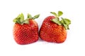 Two sweet big red strawberry`s showing there seeds Royalty Free Stock Photo