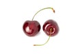 Two sweet cherries isolated on white background. Yin and yang shaped cherry stems Royalty Free Stock Photo