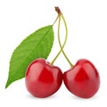 Two sweet cherries with leaf isolated on white