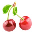 Two sweet cherries with leaf isolated on white Royalty Free Stock Photo