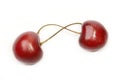 Two sweet cherry Royalty Free Stock Photo