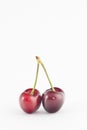 Two sweet cherry