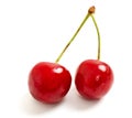 Two sweet cherry Royalty Free Stock Photo