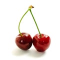 Two sweet cherry Royalty Free Stock Photo