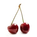 Two sweet cherry Royalty Free Stock Photo