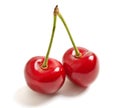 Two sweet cherry Royalty Free Stock Photo