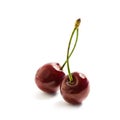 Two sweet cherry Royalty Free Stock Photo