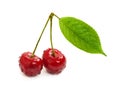 Two sweet cherry Royalty Free Stock Photo