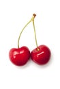 Two sweet cherry Royalty Free Stock Photo