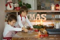 Two sweet children, boy brothers, preparing gingerbread cookies Royalty Free Stock Photo