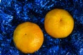 Two sweet, juicy mandarin lie on blue Christmas tinsel. Royalty Free Stock Photo