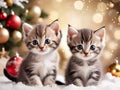 Sweet kittens with Christmas holiday background