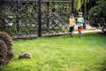 Two sweet little boy and Pennon rabbit bunnies are sitting on green grass. Friendship between humans and animals. Children and