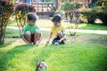 Two sweet little boy and Pennon rabbit bunnies are sitting on green grass. Friendship between humans and animals. Children and