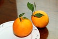 Two sweet oranges with fresh leaves placed on a plate and on the table.