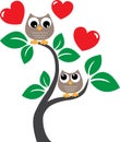 Two sweet owls in love