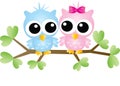 Two sweet owls sitting on a branch