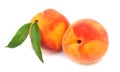 Two sweet peaches with leaves