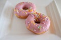 Two Sweet Pink Donuts Served on a Square White Plate Royalty Free Stock Photo