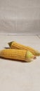 Two sweetcorns on the floor Royalty Free Stock Photo