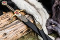 Two swords and some furs Royalty Free Stock Photo