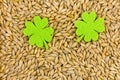 Two symmetrical green leaves of felt large on the background of grains base of Saint Patrick