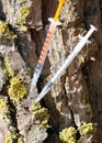 syringes used by drug addicts to inject drugs left in the park Royalty Free Stock Photo