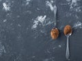 Two tablespoons with cocoa powder. Royalty Free Stock Photo