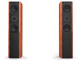 Two tall modern speakers with wood side panels - front view Royalty Free Stock Photo