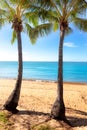 Two tall palm trees on a tropical beach in Australia Royalty Free Stock Photo