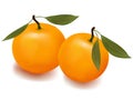 Two tangerines with leaves.