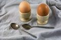 Two tasty boiled brown eggs in egg cups with spoons Royalty Free Stock Photo