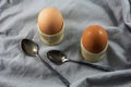 Two tasty brown eggs in egg cups with spoons Royalty Free Stock Photo