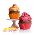 Two tasty cupcakes on white background