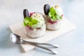 Two Tasty homemade multicolored popsicles ice cream with mint and chocolate cookies leaves in a glass jars Royalty Free Stock Photo