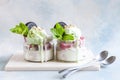 Two Tasty homemade multicolored popsicles ice cream with mint and chocolate cookies leaves in a glass jars Royalty Free Stock Photo