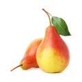 Two tasty ripe pears isolated on white Royalty Free Stock Photo