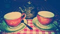 two tea cups Royalty Free Stock Photo