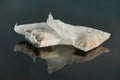 Two teabags on black background