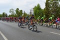 Team Sky And Cannondale Lead Peleton La Vuelta EspaÃÂ±a Royalty Free Stock Photo