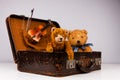 two teddies sitting inside a small vintage case Royalty Free Stock Photo