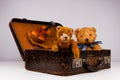 two teddies sitting inside a small vintage case Royalty Free Stock Photo