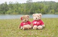 Two teddy bear sitting on grass Royalty Free Stock Photo