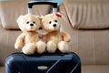 Two teddy Bear sitting on a luggage in accommodations. Tourist a